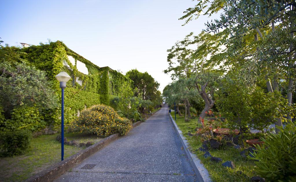 Hotel Terme Alexander Ischia Exterior photo